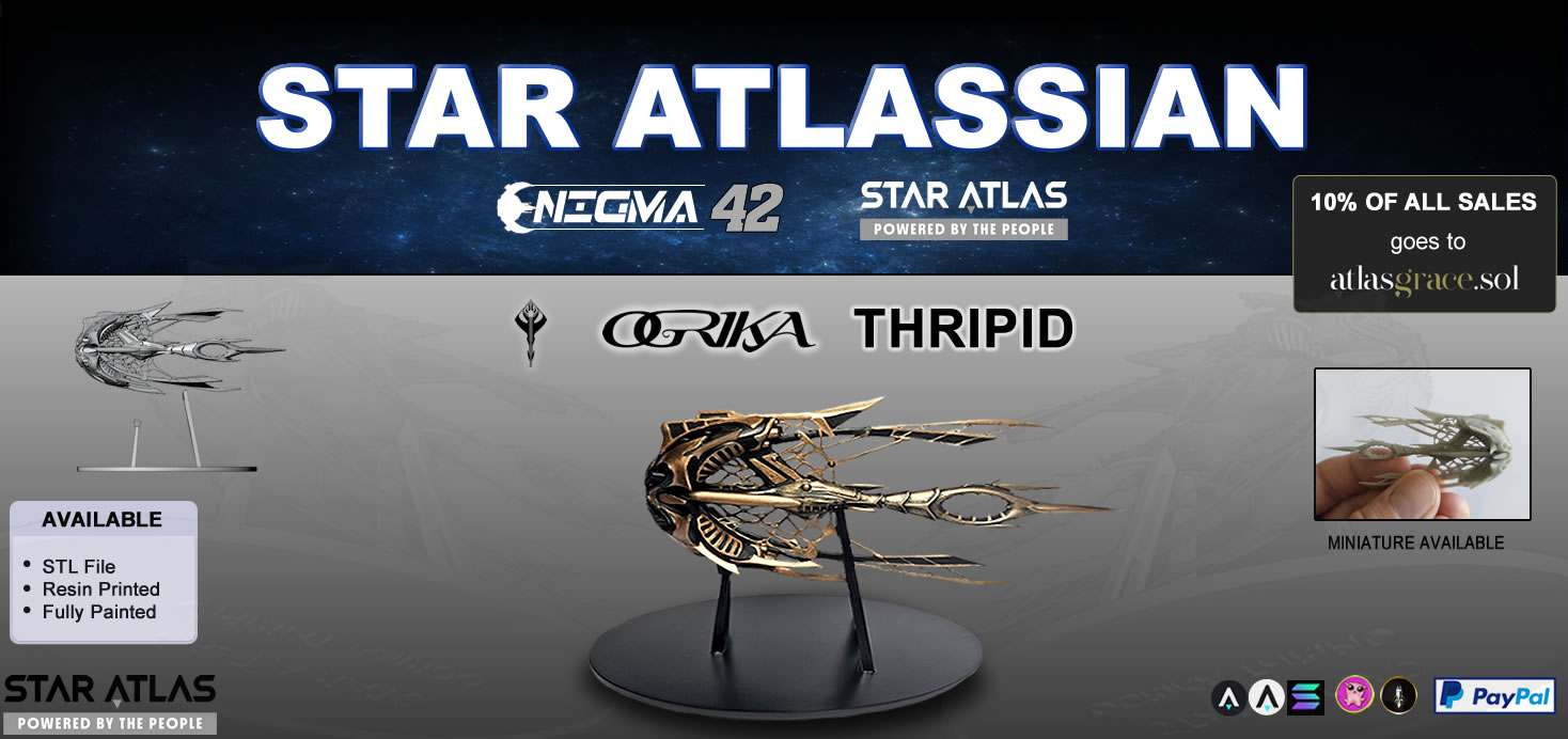 3D Printed Star Atlas Models